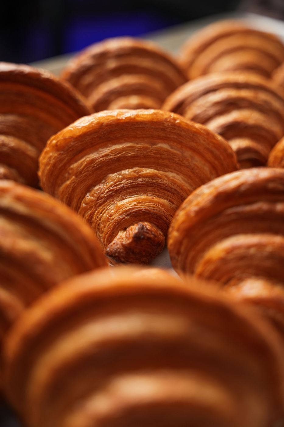 Knead Bakery Commercial Still #3